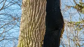 Mazury - inspiracja fotograficzna o każdej porze roku - zdjęcie 41