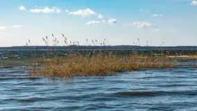 Wietrzny Dargin na początku wiosny - zdjęcie 6