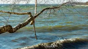 Wietrzny Dargin na początku wiosny - zdjęcie 12