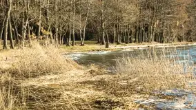 Wietrzny Dargin na początku wiosny - zdjęcie 16