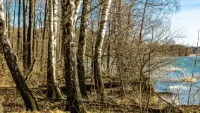 Wietrzny Dargin na początku wiosny - zdjęcie 49