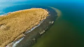 Wilkasy i okolice na zdjęciach z lotu mewy, marzec 2022 - zdjęcie 29