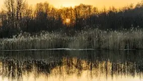 Garażowy zachód nad rzeką Pisa w Piszu - zdjęcie 5