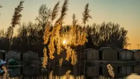 Garażowy zachód nad rzeką Pisa w Piszu - zdjęcie 37