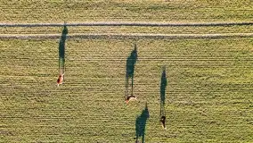 Mazury na niewykorzystanych ujęciach, styczeń - marzec 2022 - zdjęcie 19