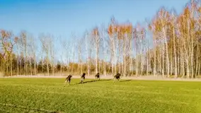 Mazury na niewykorzystanych ujęciach, styczeń - marzec 2022 - zdjęcie 7