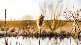 Mazury na niewykorzystanych ujęciach, styczeń - marzec 2022 - zdjęcie 32