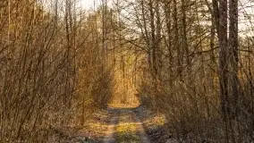 Zachód słońca nad jeziorem Tajty, marzec 2022 r. - zdjęcie 34