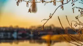 Zachód słońca nad jeziorem Tajty, marzec 2022 r. - zdjęcie 16