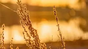 Zachód słońca nad jeziorem Tajty, marzec 2022 r. - zdjęcie 28