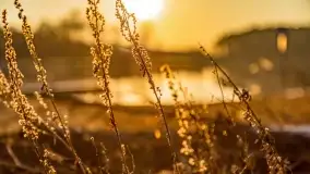 Zachód słońca nad jeziorem Tajty, marzec 2022 r. - zdjęcie 5