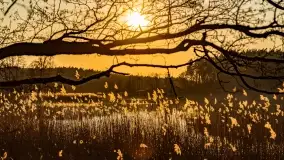 Zachód słońca nad jeziorem Tajty, marzec 2022 r. - zdjęcie 9