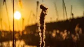 Zachód słońca nad jeziorem Tajty, marzec 2022 r. - zdjęcie 12