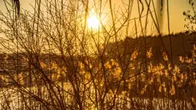 Zachód słońca nad jeziorem Tajty, marzec 2022 r. - zdjęcie 20