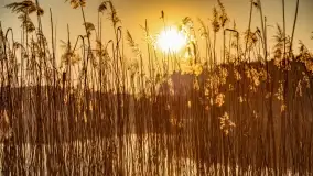 Zachód słońca nad jeziorem Tajty, marzec 2022 r. - zdjęcie 24