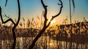 Zachód słońca nad jeziorem Tajty, marzec 2022 r. - zdjęcie 14