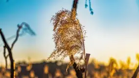 Zachód słońca nad jeziorem Tajty, marzec 2022 r. - zdjęcie 18