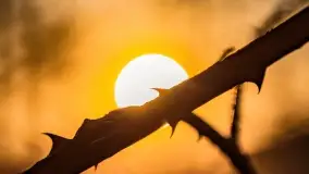 Zachód słońca nad jeziorem Tajty, marzec 2022 r. - zdjęcie 35