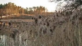 Jezioro Tajty widoczne z zachodniego brzegu - zdjęcie 9
