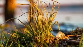 Zachód słońca nad jeziorem Kisajno, Zimny Kąt - zdjęcie 30