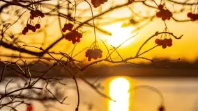 Zachód słońca nad jeziorem Kisajno, Zimny Kąt - zdjęcie 24