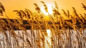 Zachód słońca nad jeziorem Kisajno, Zimny Kąt - zdjęcie 26