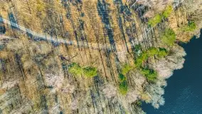 Binduga Zimny Kąt na początku wiosny 2022 - zdjęcie 19