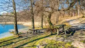 Binduga Zimny Kąt na początku wiosny 2022 - zdjęcie 2