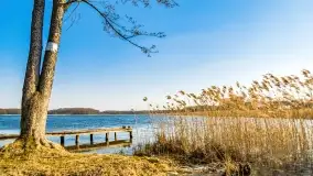 Binduga Zimny Kąt na początku wiosny 2022 - zdjęcie 48