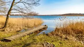 Binduga Zimny Kąt na początku wiosny 2022 - zdjęcie 42