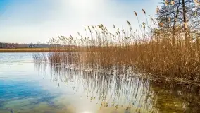 Binduga Zimny Kąt na początku wiosny 2022 - zdjęcie 25