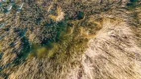 Jezioro Ołów w pierwszych dniach wiosny - zdjęcie 15