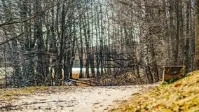 Jezioro Ołów w pierwszych dniach wiosny - zdjęcie 34