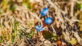 Jezioro Ołów w pierwszych dniach wiosny - zdjęcie 29