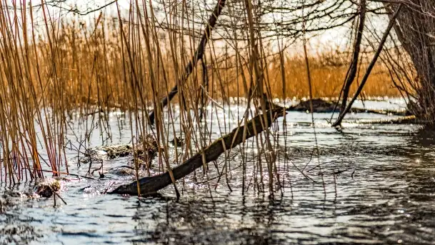Jezioro Ołów w pierwszych dniach wiosny - zdjęcie 7