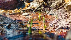 Jezioro Ołów w pierwszych dniach wiosny - zdjęcie 51