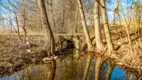 Jezioro Ołów w pierwszych dniach wiosny - zdjęcie 54