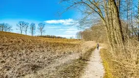 Jezioro Ołów w pierwszych dniach wiosny - zdjęcie 36