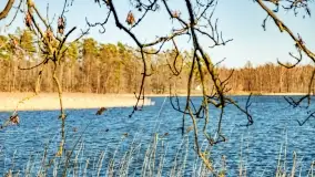 Jezioro Ołów w pierwszych dniach wiosny - zdjęcie 41