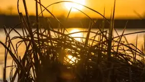 Wschód słońca przy wyspie Wydmińskiej, kwiecień 2022 r. - zdjęcie 30