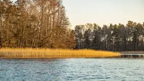 Wschód słońca przy wyspie Wydmińskiej, kwiecień 2022 r. - zdjęcie 33