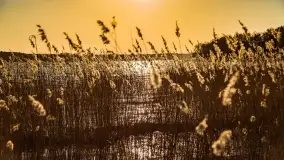 Zachód słońca nad jeziorem Dejguny, marzec 2022 r. - zdjęcie 12