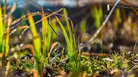 Zachód słońca nad jeziorem Dejguny, marzec 2022 r. - zdjęcie 21