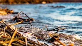 Zachód słońca nad jeziorem Dargin, marzec 2022 r. - zdjęcie 32