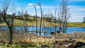 Grodzisko Galindów na Zamkowej Górze - zdjęcie 14