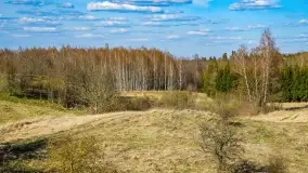 Grodzisko Galindów na Zamkowej Górze - zdjęcie 18