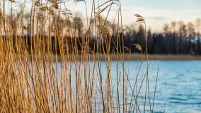 Zachód słońca nad jeziorem Stręgiel - zdjęcie 33