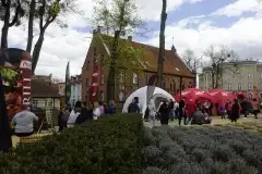 Majówka na Mazurach - zdjęcie 13