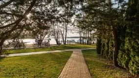 Ognisty Ptak przed kwietniowym zachodem słońca - zdjęcie 36