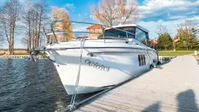 Ognisty Ptak przed kwietniowym zachodem słońca - zdjęcie 34